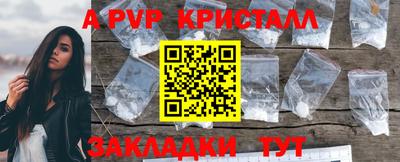 прущие крисы Донской