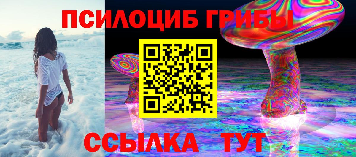 Псилоцибиновые грибы мицелий Нижнекамск