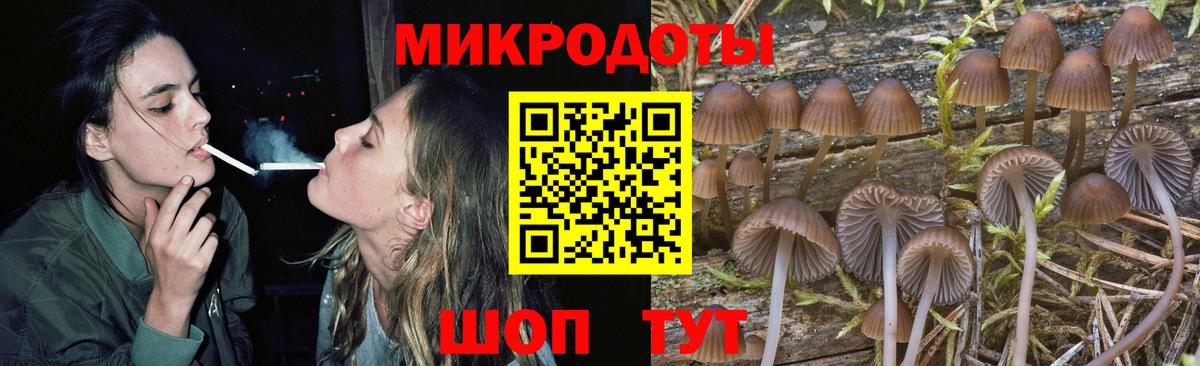 закладка  Псилоцибиновые грибы Cubensis  Вход с VPN  Нижнекамск 